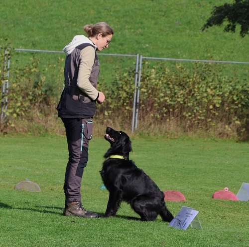 OG Prüfung Hundeschule