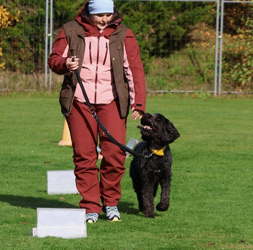 OG Hundeprüfung Oberösterreich