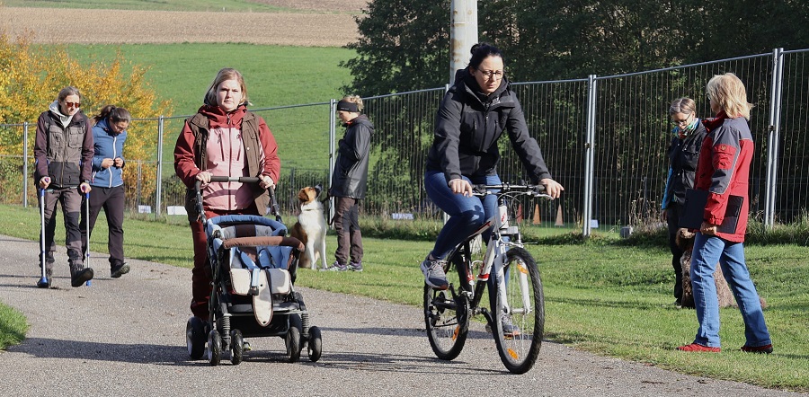 Alltagstauglichkeitsprüfung ATP